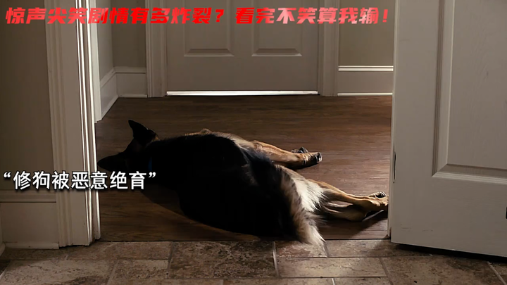 It’s hard to imagine what the director was going through mentally while filming this series—this is 