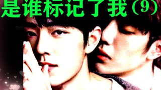 是谁标记了我 第九集/博君一肖/ABO设定/骨科/天雷滚滚剧情狗血