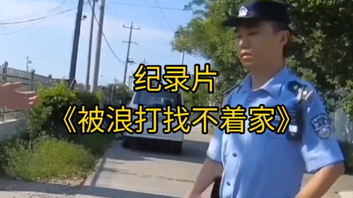 大型纪录片《被浪打找不着家》持续为您播出！