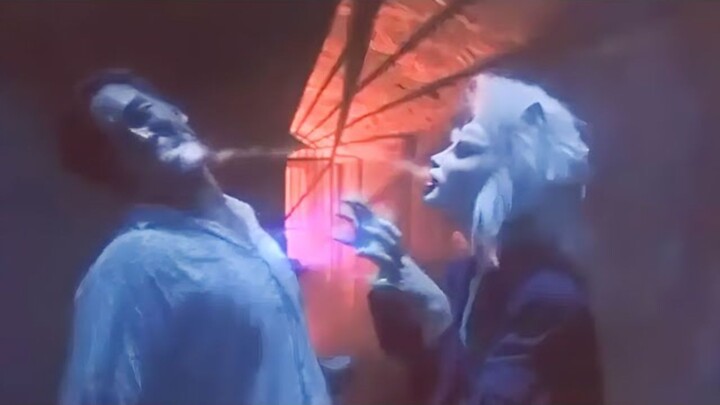 一口气看完经典电影《兄猫》