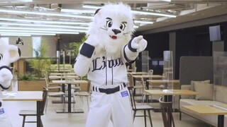 【Saitama Seibu Lions】Leo cùng em gái nhảy điệu 'Koi Dance'