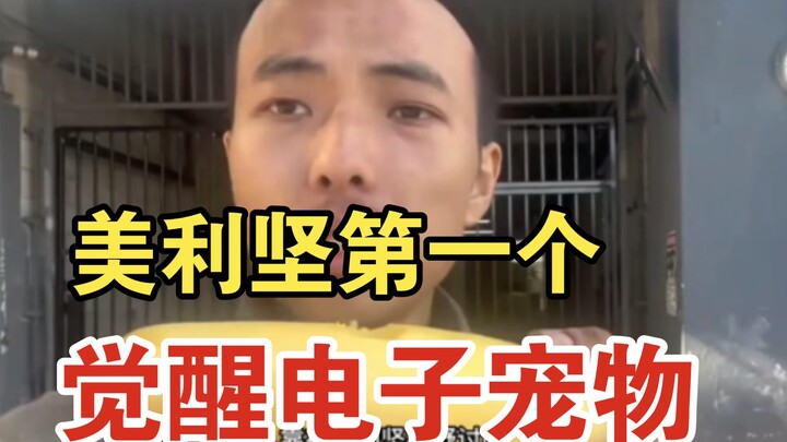 The first digital pet awakening in America joins the ranks of zero-cost purchases.