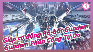 [Giáp cơ động Rô-bốt Gundam] Mạnh mẽ & ngầu nhất! ZGMF-X20A Gundam Phản Công Tự Do_1