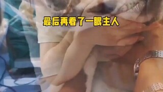 宝贝谢谢你来过，如果有来生我们还在一起