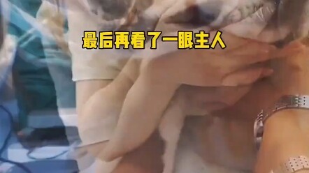 ที่รัก ขอบคุณที่เคยผ่านเข้ามา หากมีชาติหน้า เราจะยังคงอยู่ด้วยกันอีก