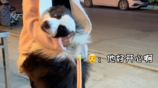 The moment I saw the owner, I felt like a child who had found his home. It was the first time I expe