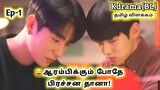 Error is not Wrong korean BL Drama tamil explanation /IMY REVIEWS