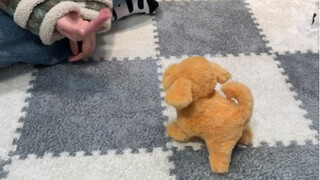 你就说它是不是后空翻了吧