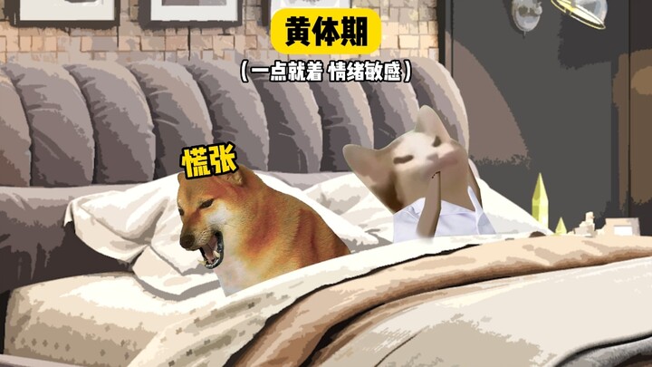 Girlfriend's Mental State in January