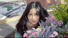【沈月】月月好美啊!桃花坞预告出来啦!