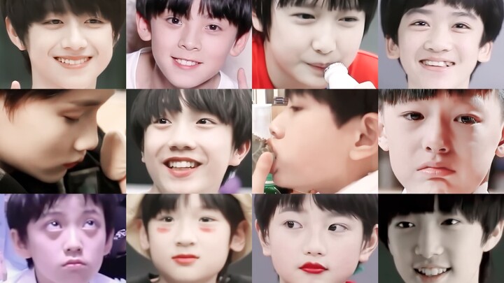 "Limited Three-Generation Cubs Illustrated Guide" | Help, these chubby puppies are so adorable!!! [T