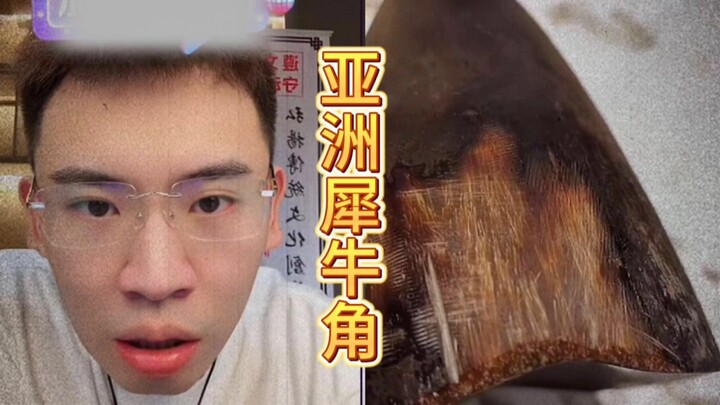 Cô gái này mạnh quá nhỉ, cả sừng tê giác cũng dám đụng luôn à