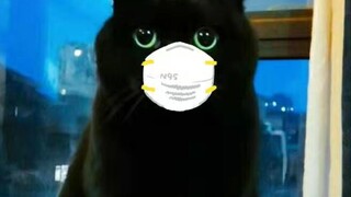 إذا لم أشترِ ملابس جديدة لطفلي الصغير في المنزل، فإنه يبدأ بالبكاء والصراخ! ماذا أفعل؟