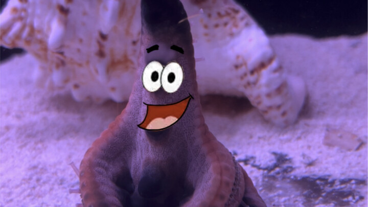 Versi nyata dari Patrick Star