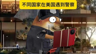 不同国家在美国遇到警察