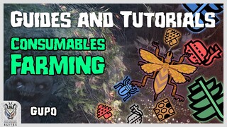 MHW - Consumables Farming - Vespoid Investigations