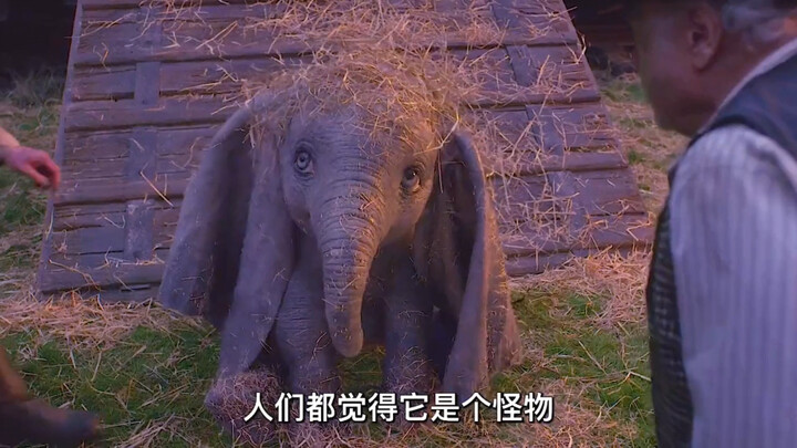The Flying Baby Elephant Looks for Its Mom
