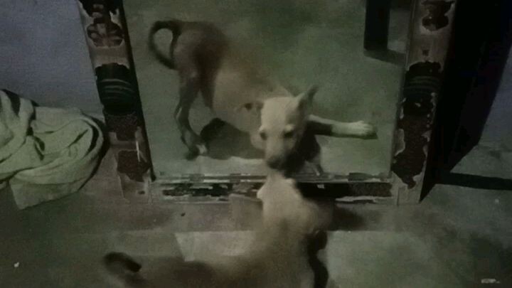 ahh