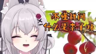 【小鱼干】不懂就问，什么是柰子呀