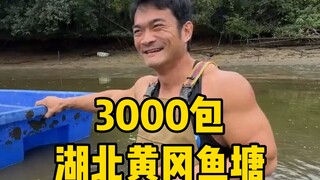 来湖北帮粉丝干塘，这把不亏