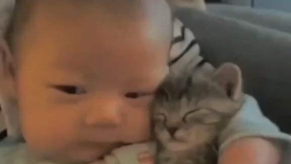 Cat and baby 🐱🐱