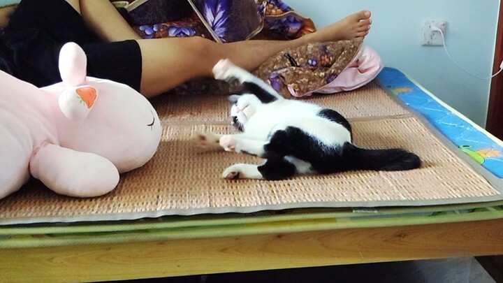 Đôi khi thật muốn đấu với anh ấy luôn! Mới sáng sớm đã làm loạn rồi!