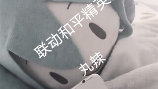 大型纪录片之和平精英联动初音未来