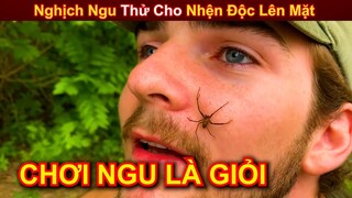 Thanh Niên Nghịch Ngu Thử Độc  Để Nhện Độc Cắn Lên Mặt Và Cái Kết   || Review Giải Trí Đời Sống