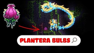 Hướng Dẫn Chơi Terraria Cơ Bản #15 : Những Cách Tìm Plantera Bulbs Nhanh