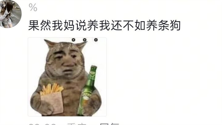 โอ้โห… สัมผัสประสบการณ์แบบดื่มด่ำกับวันของสุนัขแม่บ้าน