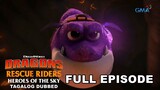Dragons: Rescue Riders: Heroes of the Sky | Full Episode 8 (Tagalog Dubbed)