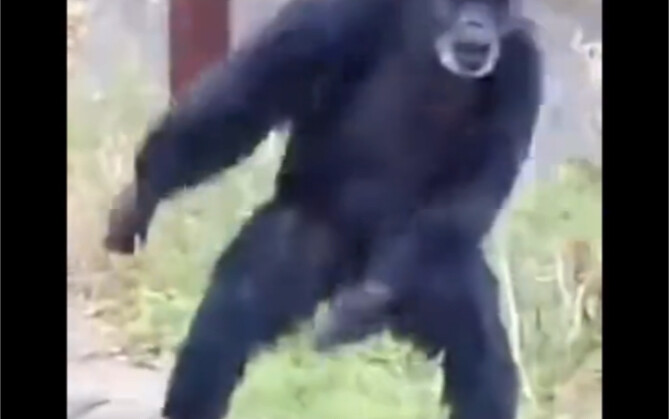 Tinh tinh, chú bé đen