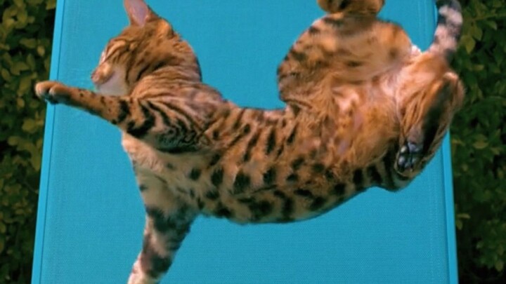 HaiMaMedia | What Would a Slow-Motion World Be Like in Real Life?