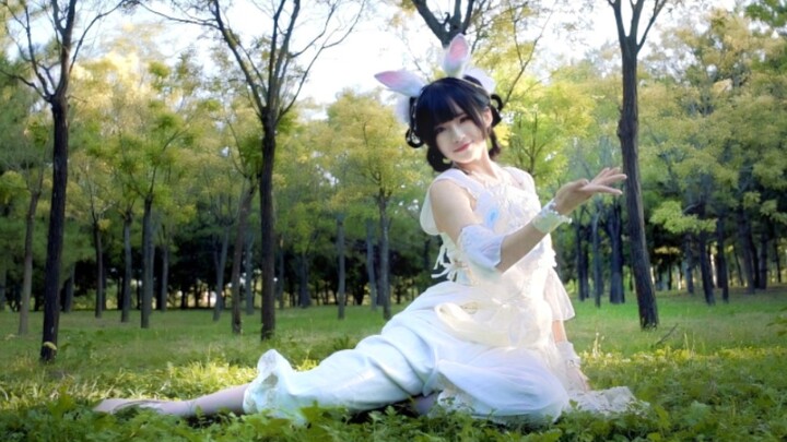 ماذا؟ هل هرب الأرنب اليشم مرة أخرى؟ أنشودة القمر الصباحي ◎ دعماً لإكسياو دان! [أكسيو]