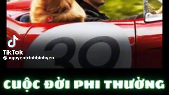 REVIEW PHIM CUỘCĐỜI PHÍ THƯỜNG CỦA CHÚ CHỞENZO
