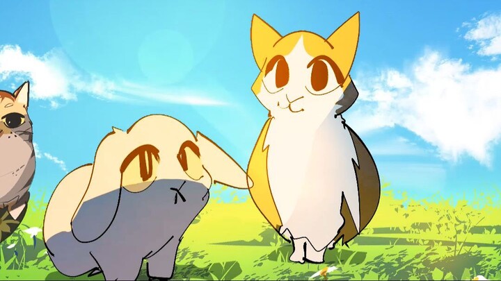 meowl video!