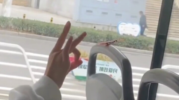 蟑螂如何叫 没听过吧！