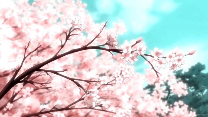 Mekarnya bunga sakura