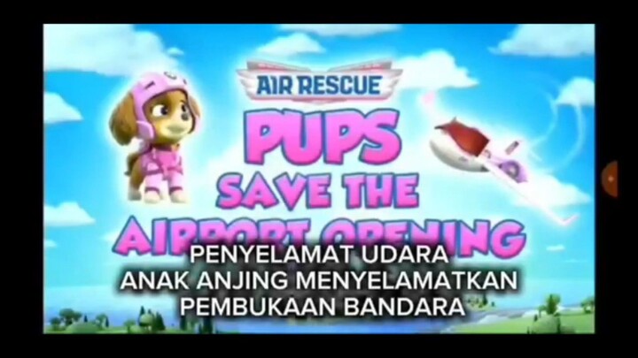Paw Patrol Musim 11 Episode 6 Sub Indonesia