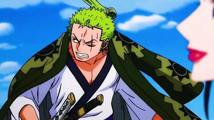 When Luffy showed his Haki, Zoro just ignored him.