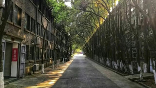 Komentar pedas untuk karya fotografi di kolom komentar!