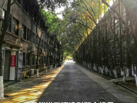 评论区摄影作品毒辣点评！