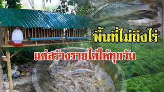 พื้นที่2งาน | แต่สร้างรายได้ให้ทุกวัน | ด้วยศาสตร์พระราชา |