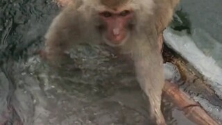 Strong people never complain about their environment.