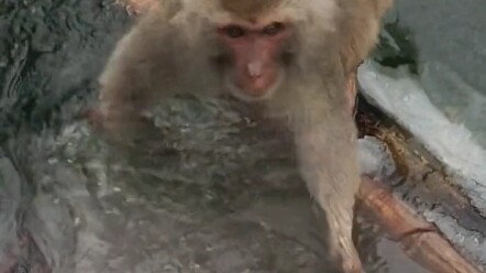 ผู้แข็งแกร่งไม่เคยบ่นเรื่องสภาพแวดล้อม