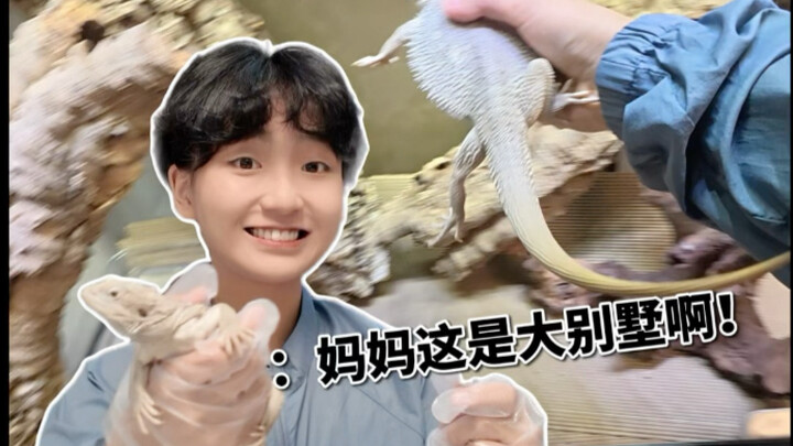 Aku masih belum kepikiran mau tanam tanaman apa di akuarium ini…