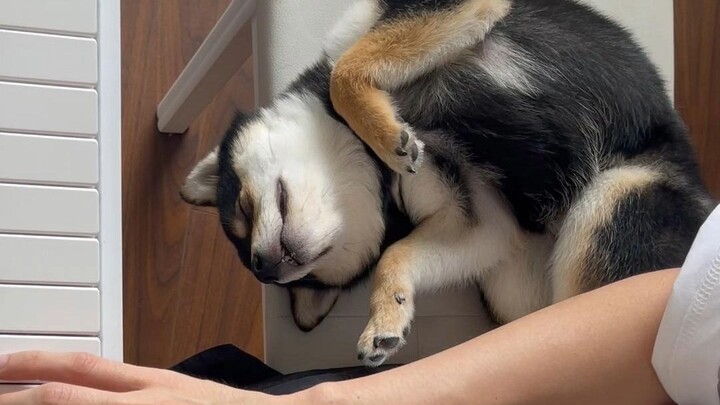 Kalau susah tidur, ayo temani si kecil mendengarkan lagu!