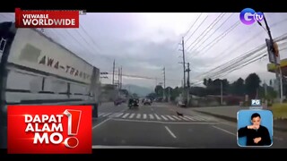 Aso, hinangaan online dahil sa kanyang pagtawid sa pedestrian | Dapat Alam Mo!