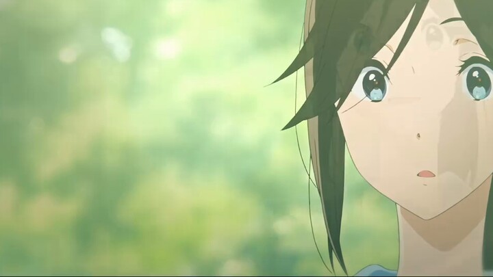 “Hãy như chim bay về núi của bạn”