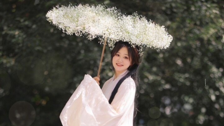 用四斤满天星做的星落伞，被路人夸爆了